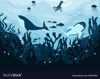 silhouette undersea silhouette undersea