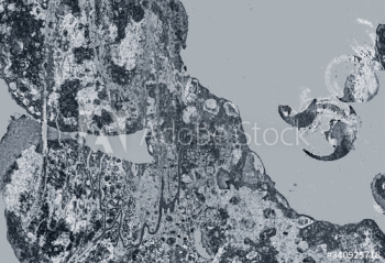 Silver patterned background Silver patterned background