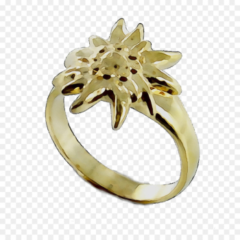 Silver Ring Body Jewellery Diamond - Silver Ring Body Jewellery Diamond -