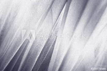 Silver snakeskin fabric texture Silver snakeskin fabric texture