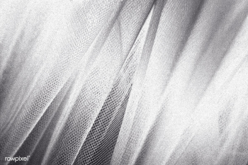 Silver snakeskin fabric texture | Free stock photo - 596690 Silver snakeskin fabric texture | Free stock photo - 596690