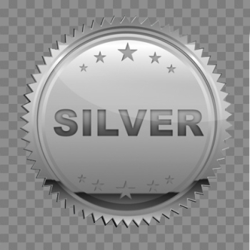Silver Transparent Silver Transparent