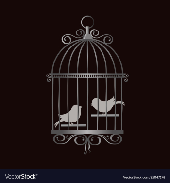 Silver vintage bird cage with bird silhouettes vector image Silver vintage bird cage with bird silhouettes vector image