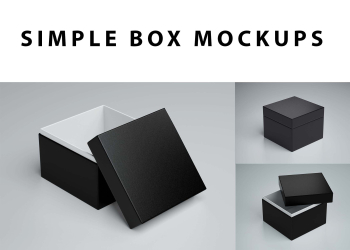 Simple Box Mockups