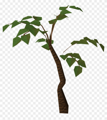 Simple Jungle Tree Clipart Cliparts - Jungle Trees Png Simple Jungle Tree Clipart Cliparts - Jungle Trees Png