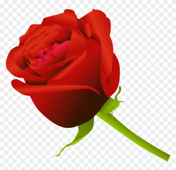 Simple Rose By Dekomaru On Deviantart - Simple Rose Simple Rose By Dekomaru On Deviantart - Simple Rose