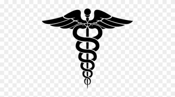 Sinai Transportation Specializes In All Kinds Of Medical - Sinai Transportation Specializes In All Kinds Of Medical