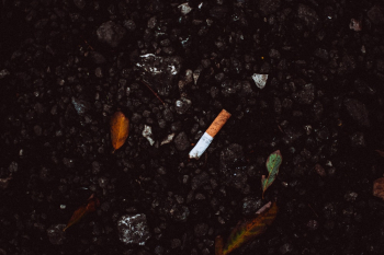 Single Cigarette Single Cigarette