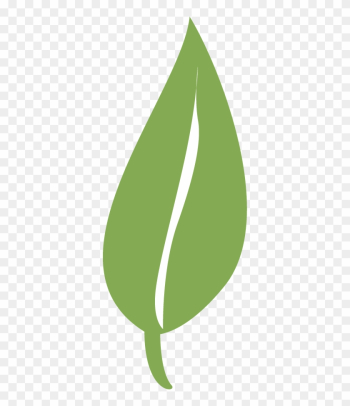 Single-leaf - Single Green Leaf Png