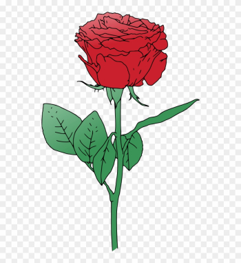 Single Red Rose Clip Art - Rose Vector Png Single Red Rose Clip Art - Rose Vector Png