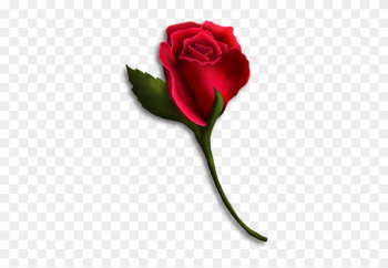 Single Rose Clip Art - Single Red Rose Clip Art Single Rose Clip Art - Single Red Rose Clip Art