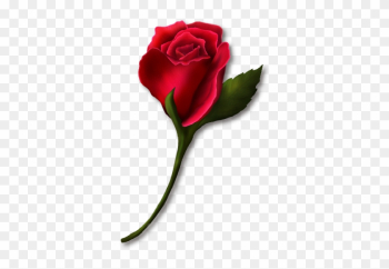 Single Rose Clip Art - Single Red Rose Clip Art Single Rose Clip Art - Single Red Rose Clip Art