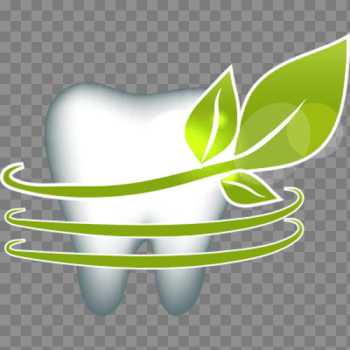 Single Teeth PNG Pic