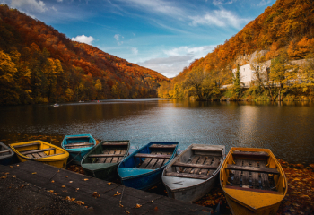 Six Assorted Colored Row Boats 