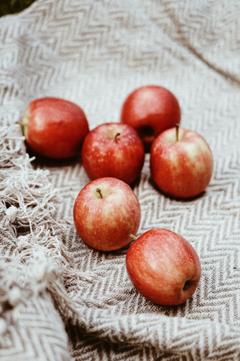 Six Red Apples on Grey Blanket Six Red Apples on Grey Blanket