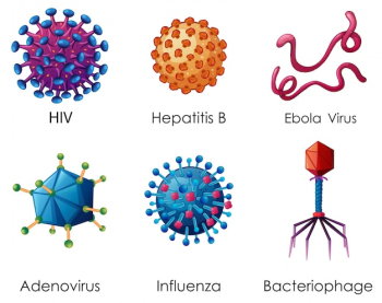 Six types of viruses on white background Six types of viruses on white background