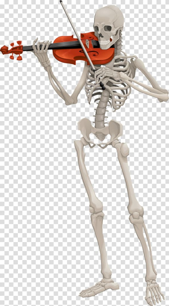 Skeleton Animation, Skeleton transparent background PNG clipart Skeleton Animation, Skeleton transparent background PNG clipart