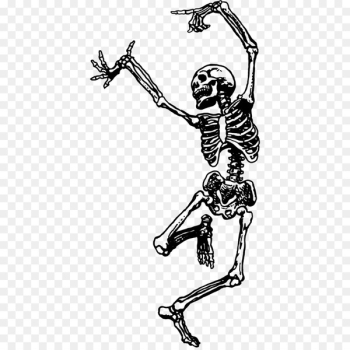 Skeleton Dance Skull Drawing Bone - Skeleton Skeleton Dance Skull Drawing Bone - Skeleton