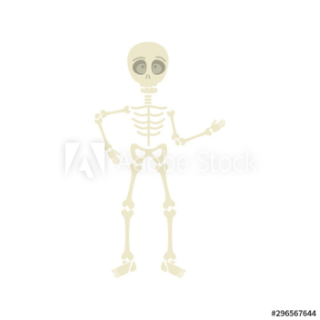 skeleton dead halloween design skeleton dead halloween design