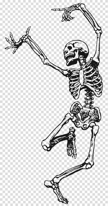 Skeleton Death Dance Art Drawing, Skeleton transparent background PNG clipart Skeleton Death Dance Art Drawing, Skeleton transparent background PNG clipart