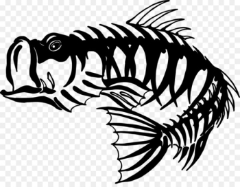 Skeleton Fishing Bass Clip art - Bass Skeleton Cliparts Skeleton Fishing Bass Clip art - Bass Skeleton Cliparts