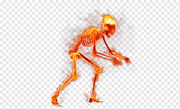 skeleton, Flame Fire, Flames Skull, orange, computer Wallpaper, fictional Character png