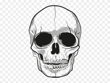 Skeleton Head Hd Image Png Images - Png Transparent Skull Png