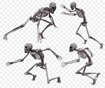 skeleton human joint leg ant skeleton human joint leg ant