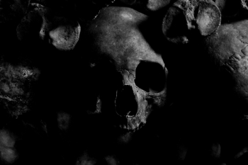Skull Skull