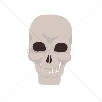 Skull Skull