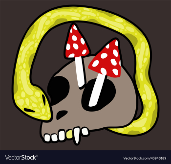 skull skull