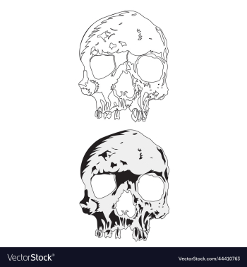skull skull