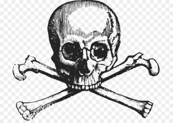 Skull and crossbones stock.xchng Image Drawing - skull Skull and crossbones stock.xchng Image Drawing - skull