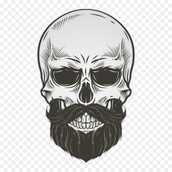 Skull Beard Drawing Illustration - Vector bearded skull Skull Beard Drawing Illustration - Vector bearded skull