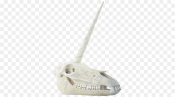 Skull Bone Human skeleton Horn - skull Skull Bone Human skeleton Horn - skull