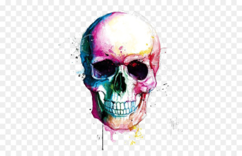Skull Calavera Drawing Color Painting - Skull Skull Calavera Drawing Color Painting - Skull
