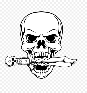 Skull Drawing Illustration - Skull Skull Drawing Illustration - Skull