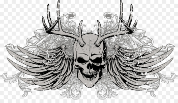 Skull Euclidean vector Download - Skull Skull Euclidean vector Download - Skull