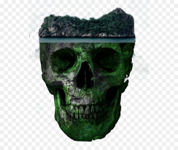 Skull Euclidean vector - Horror skull Skull Euclidean vector - Horror skull