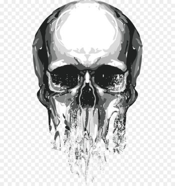 Skull Euclidean vector - Skull Skull Euclidean vector - Skull