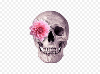 Skull Flower Skeleton Printing - Flowers skeleton head Skull Flower Skeleton Printing - Flowers skeleton head