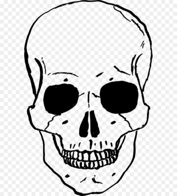 Skull Human skeleton Drawing Clip art - skull clipart Skull Human skeleton Drawing Clip art - skull clipart