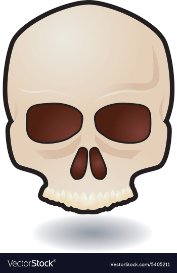 Skull icon vector image Skull icon vector image