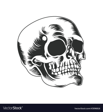 skull image art icon and graphics skull image art icon and graphics