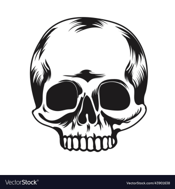 skull image art icon and graphics skull image art icon and graphics