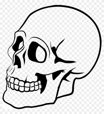 Skull Png - Skull Vector Png Skull Png - Skull Vector Png