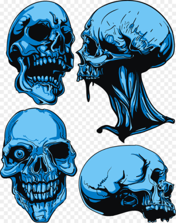 Skull Royalty-free Euclidean vector - Skull Skull Royalty-free Euclidean vector - Skull