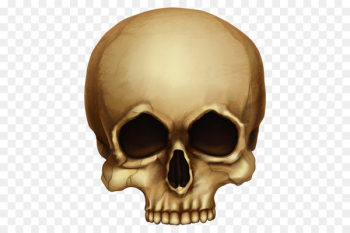 Skull Skeleton Clip art - Horror skull Skull Skeleton Clip art - Horror skull