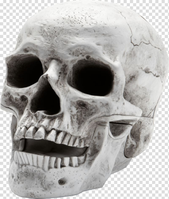 Skull Skeleton, Scary skeleton transparent background PNG clipart