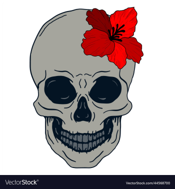 skull with red flower skull with red flower